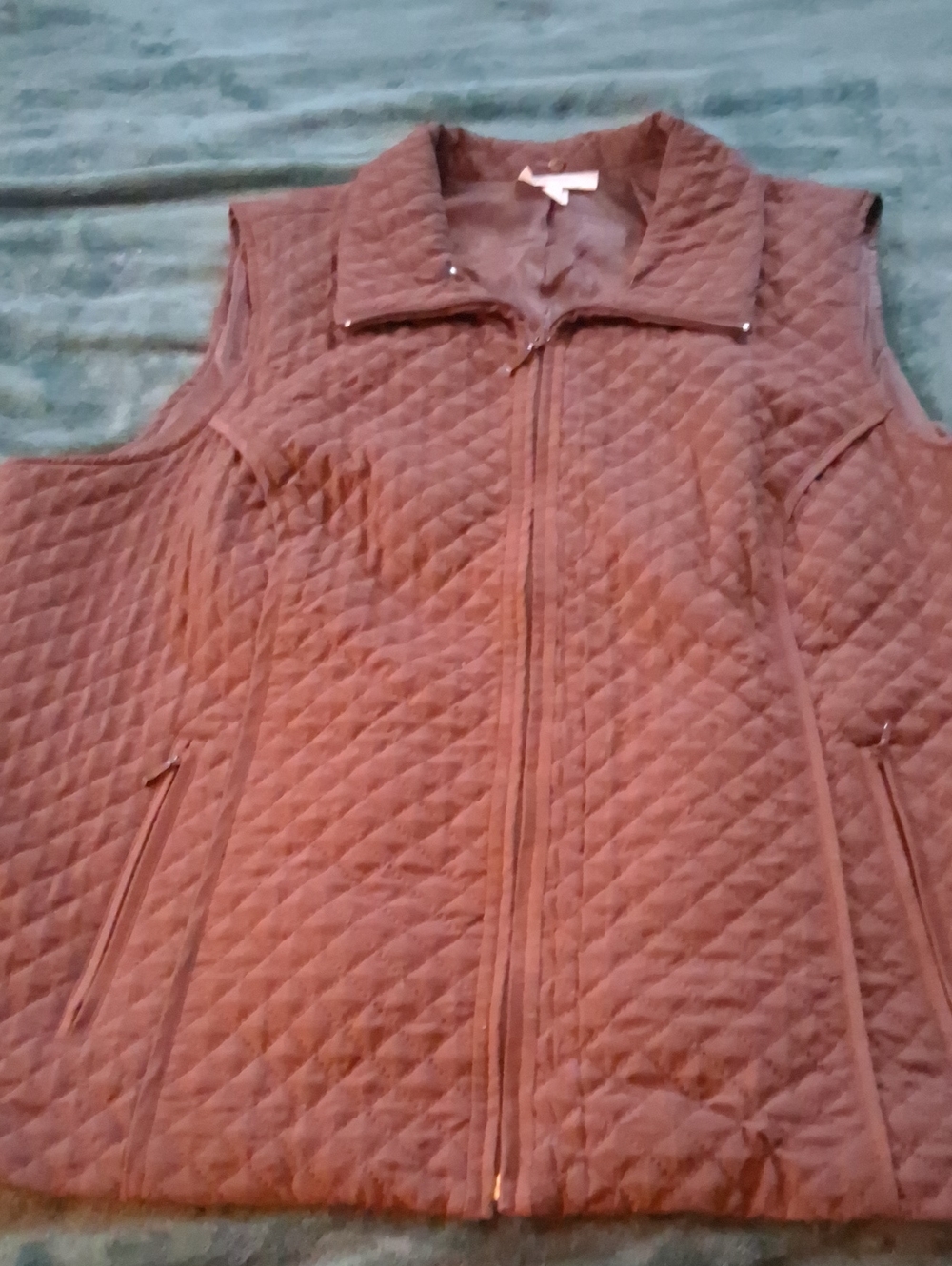 Quilted Sleeveless Zip Vest - Brown